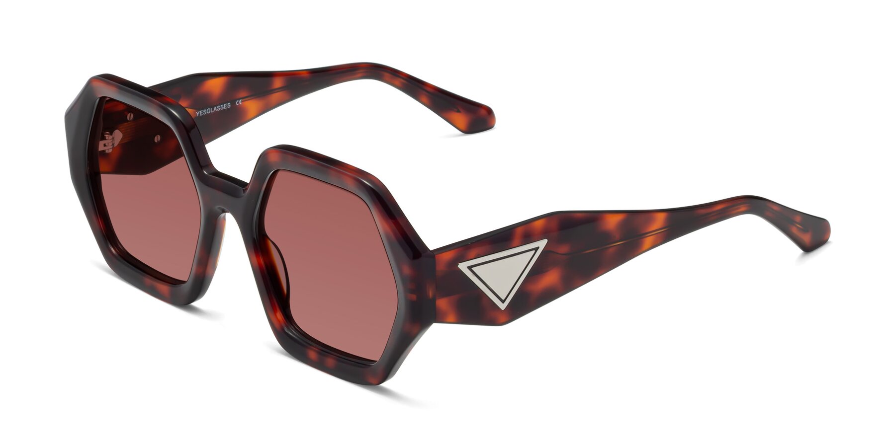 Angle of 1582 in Tortoise with Garnet Tinted Lenses