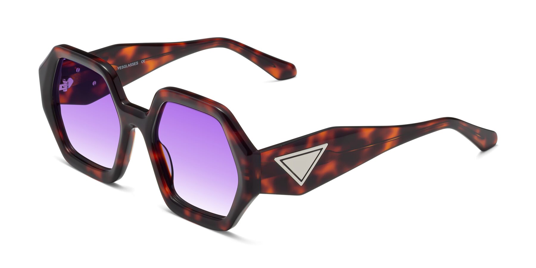 Angle of 1582 in Tortoise with Purple Gradient Lenses