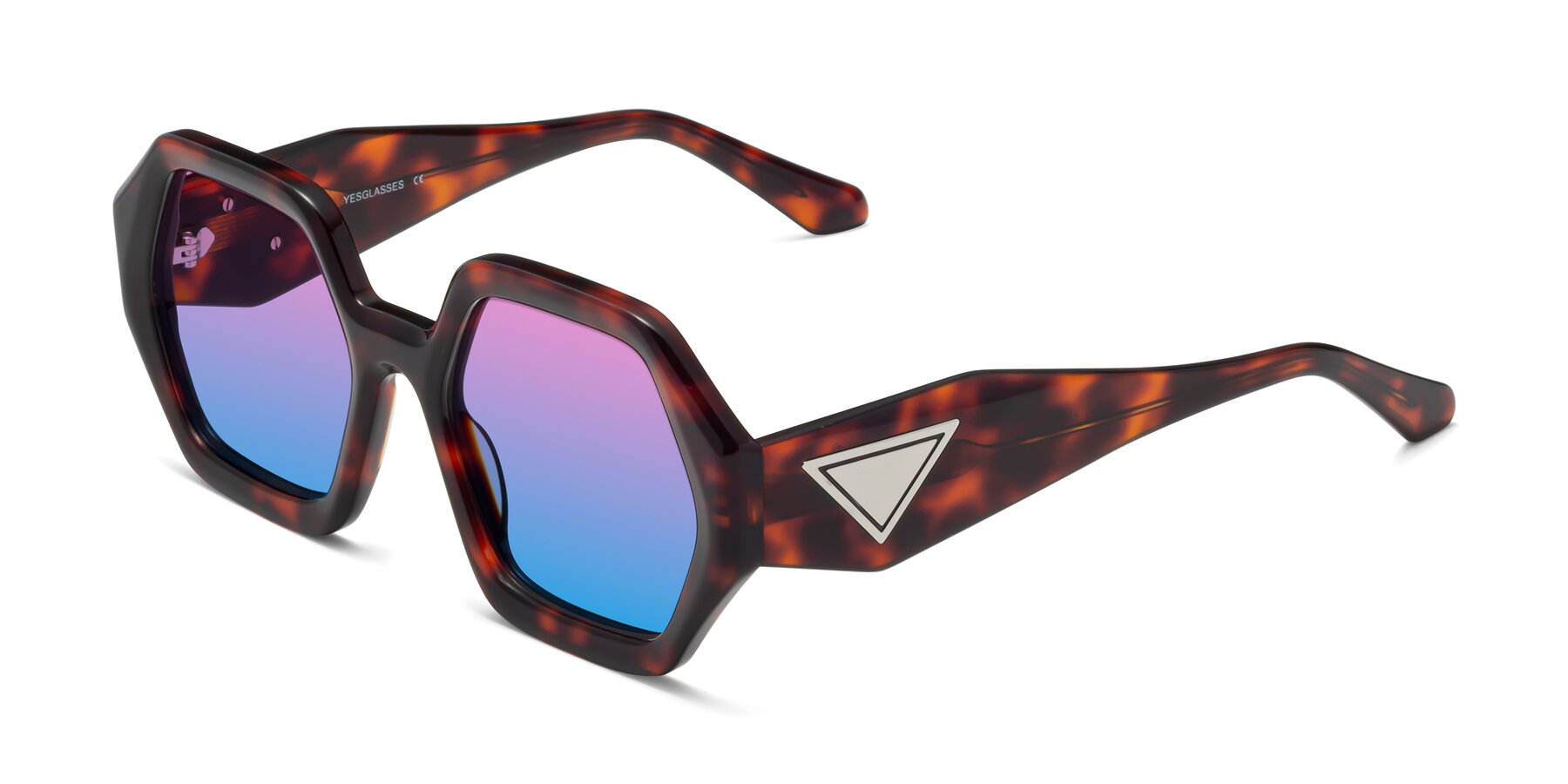 Angle of 1582 in Tortoise with Pink / Blue Gradient Lenses
