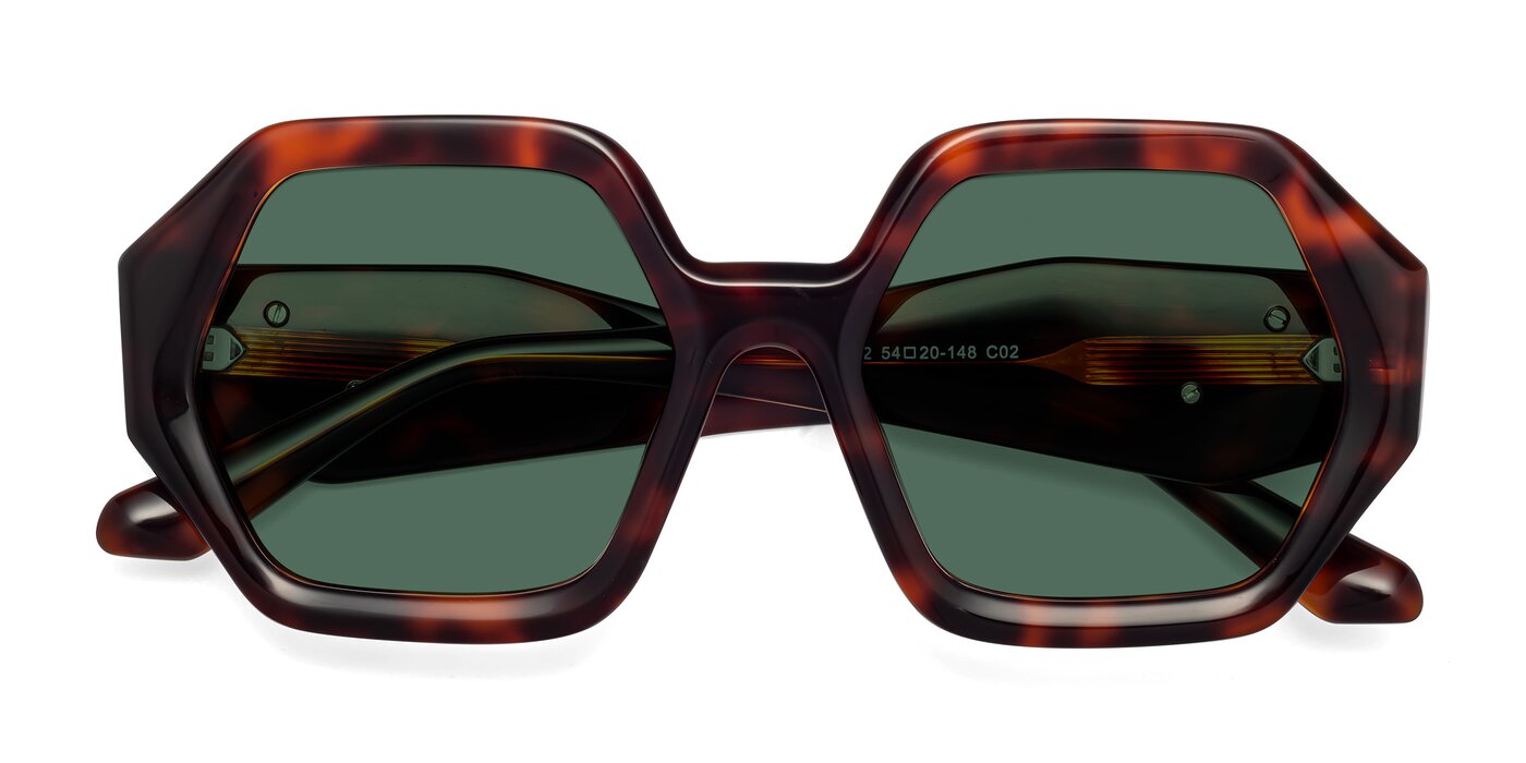 1582 - Tortoise Polarized Sunglasses