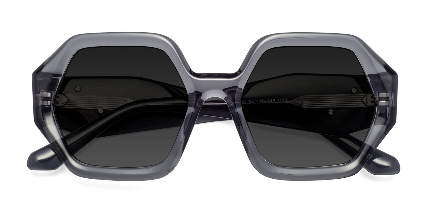 1582 - Gray Polarized Sunglasses