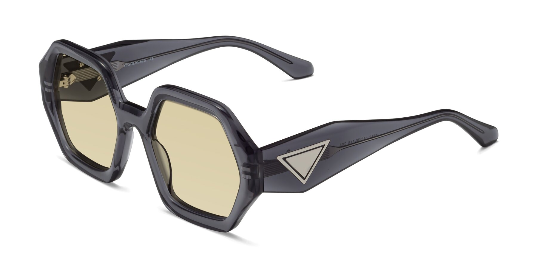 Angle of 1582 in Gray with Light Champagne Tinted Lenses