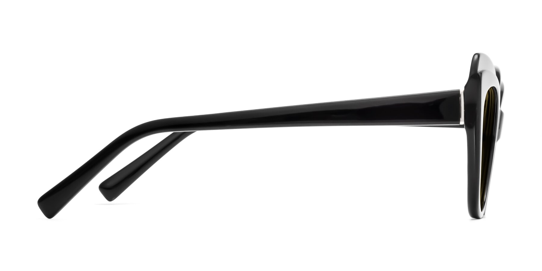 Side of 1469 in Black with Brown Polarized Lenses