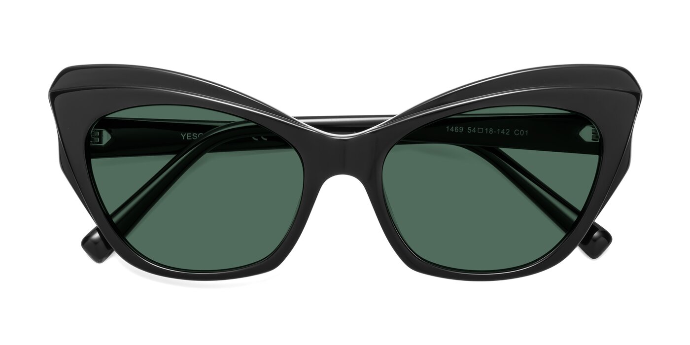 1469 - Black Polarized Sunglasses