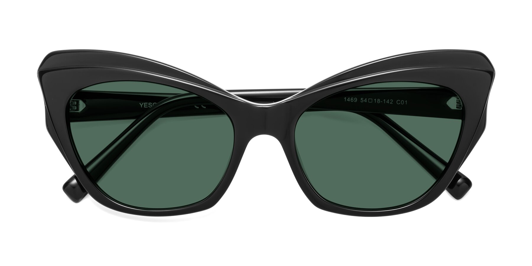 Folded Front of 1469 in Black with Green Polarized Lenses