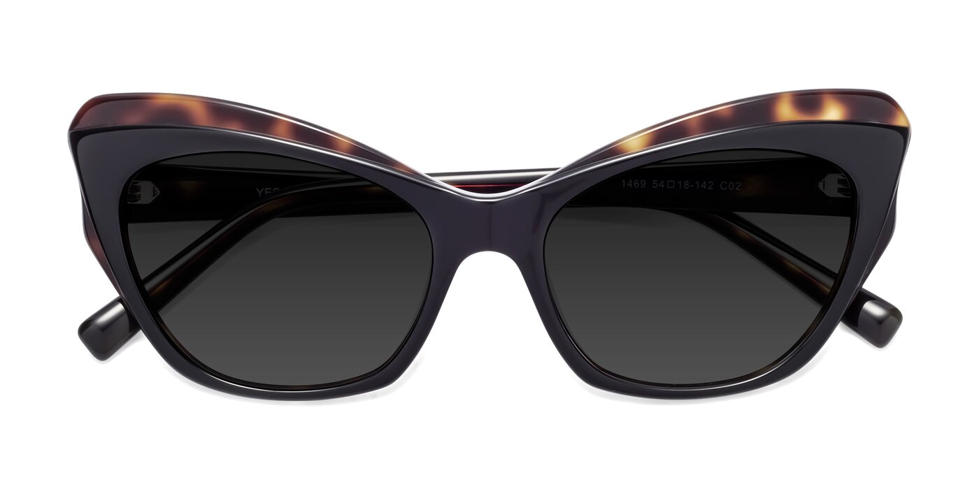 1469 - Black / Tortoise Polarized Sunglasses