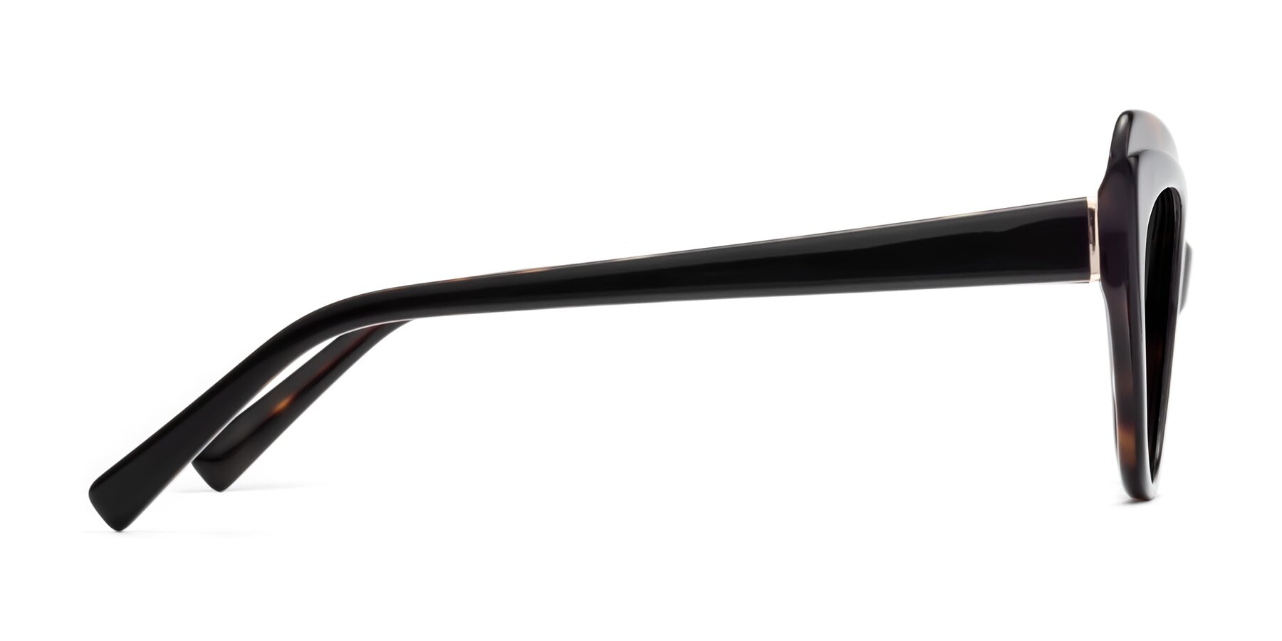 Side of 1469 in Black-Tortoise with Gray Polarized TAC Lenses
