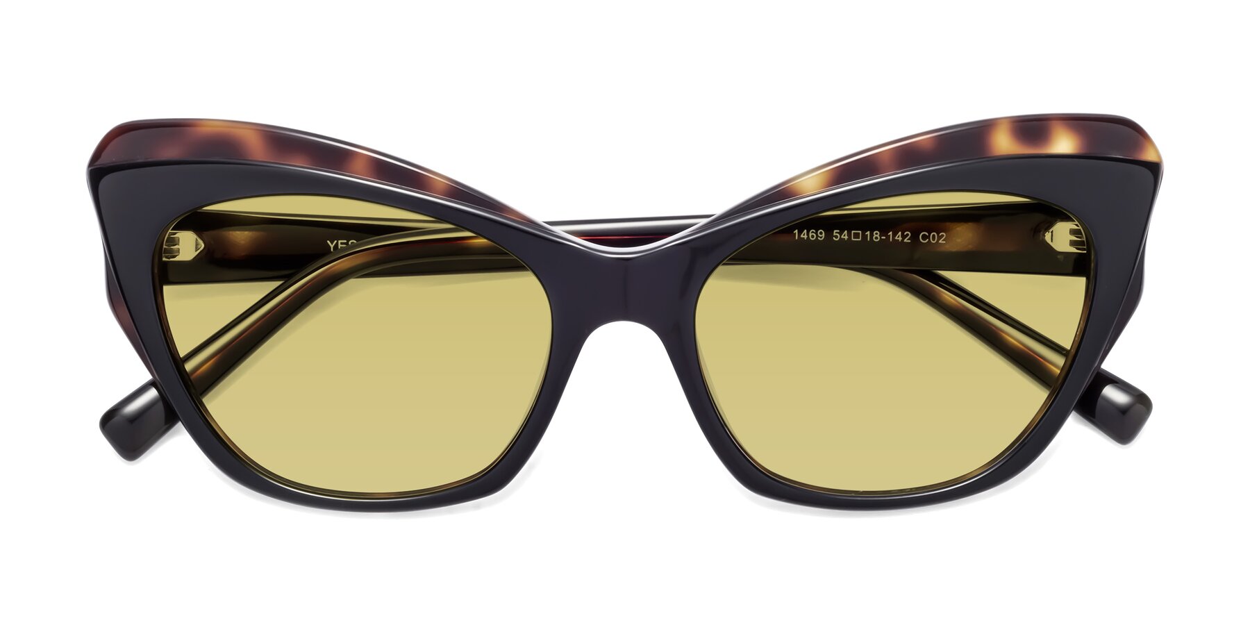 Folded Front of 1469 in Black-Tortoise with Medium Champagne Tinted Lenses