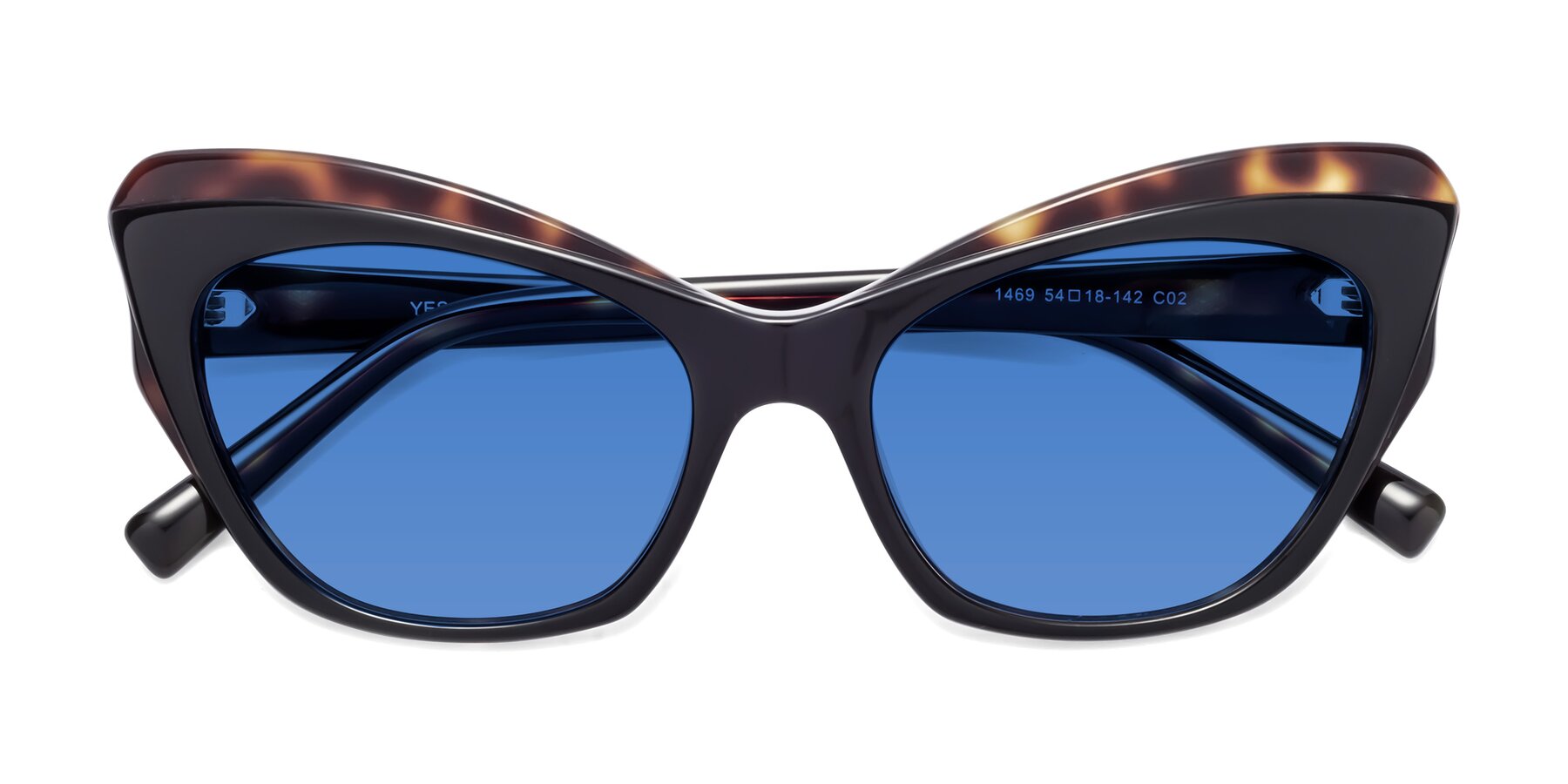 Folded Front of 1469 in Black-Tortoise with Blue Tinted Lenses