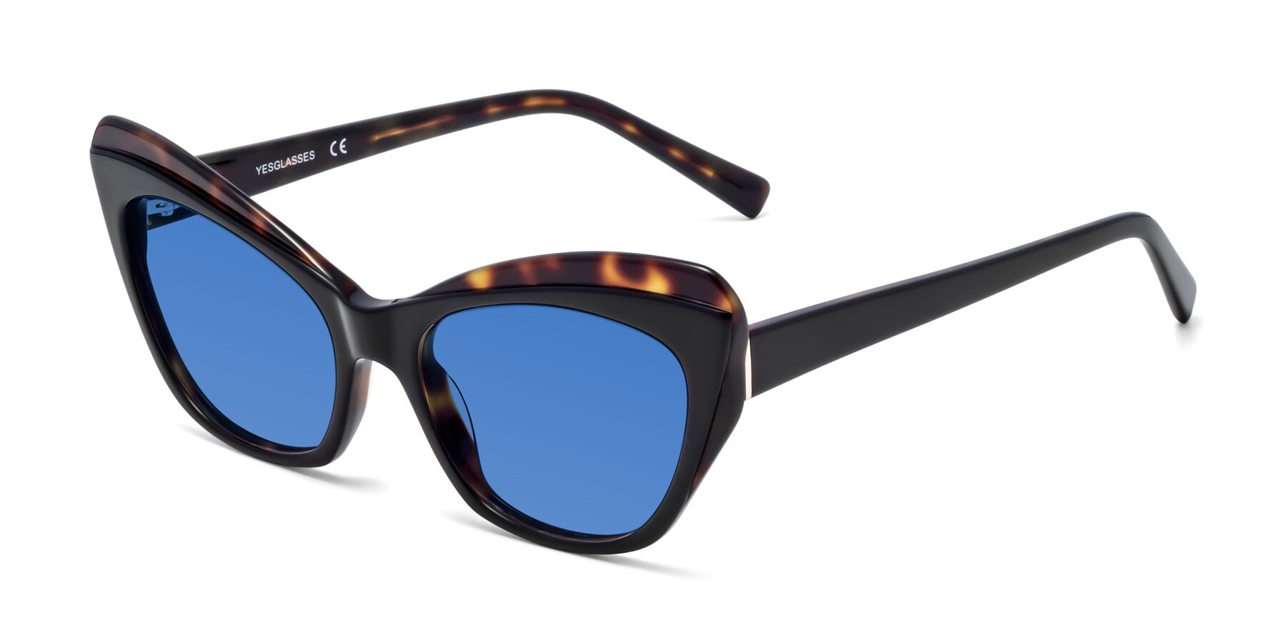 Angle of 1469 in Black-Tortoise with Blue Tinted Lenses