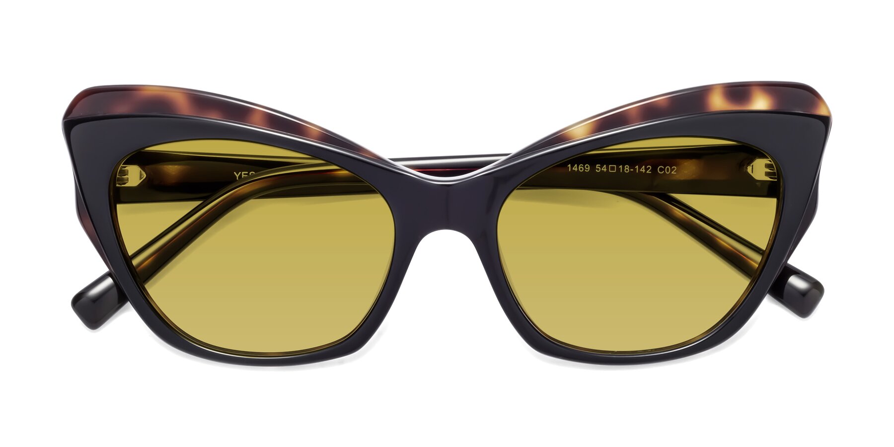 Folded Front of 1469 in Black-Tortoise with Champagne Tinted Lenses