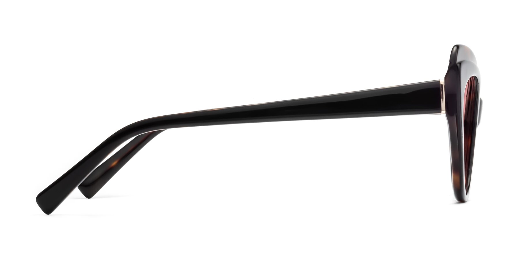 Side of 1469 in Black-Tortoise with Medium Garnet Tinted Lenses