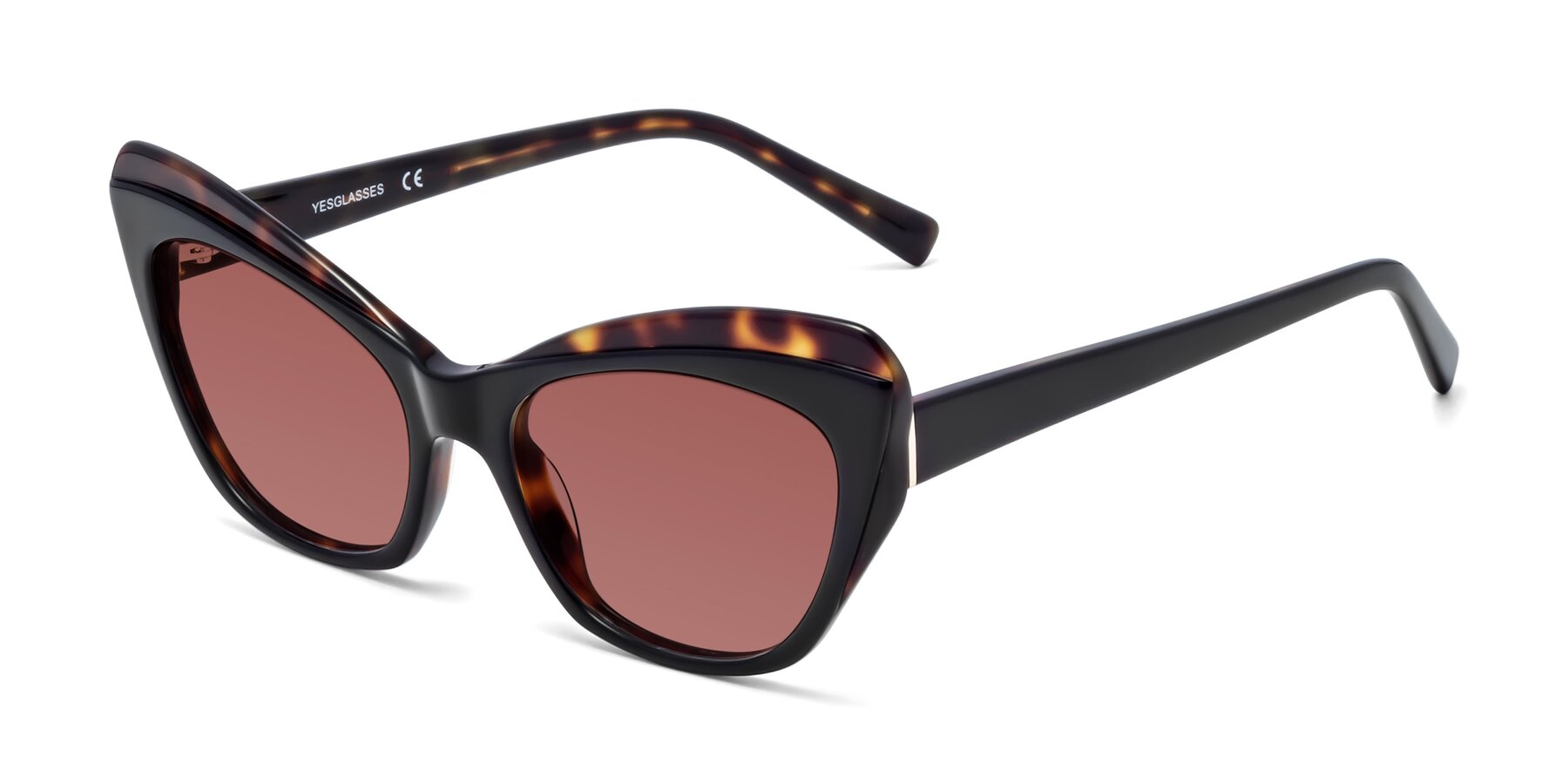 Angle of 1469 in Black-Tortoise with Garnet Tinted Lenses