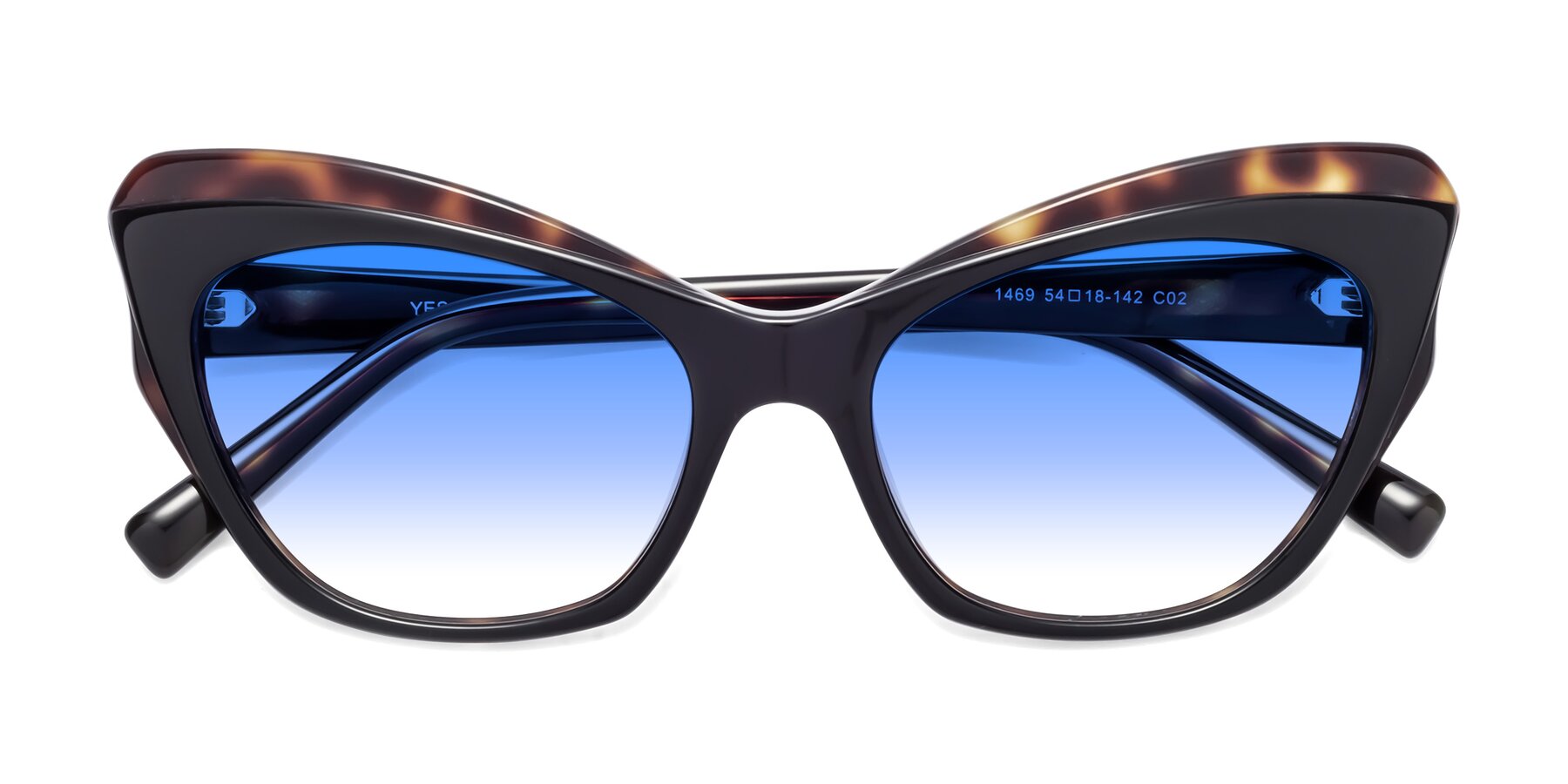 Folded Front of 1469 in Black-Tortoise with Blue Gradient Lenses
