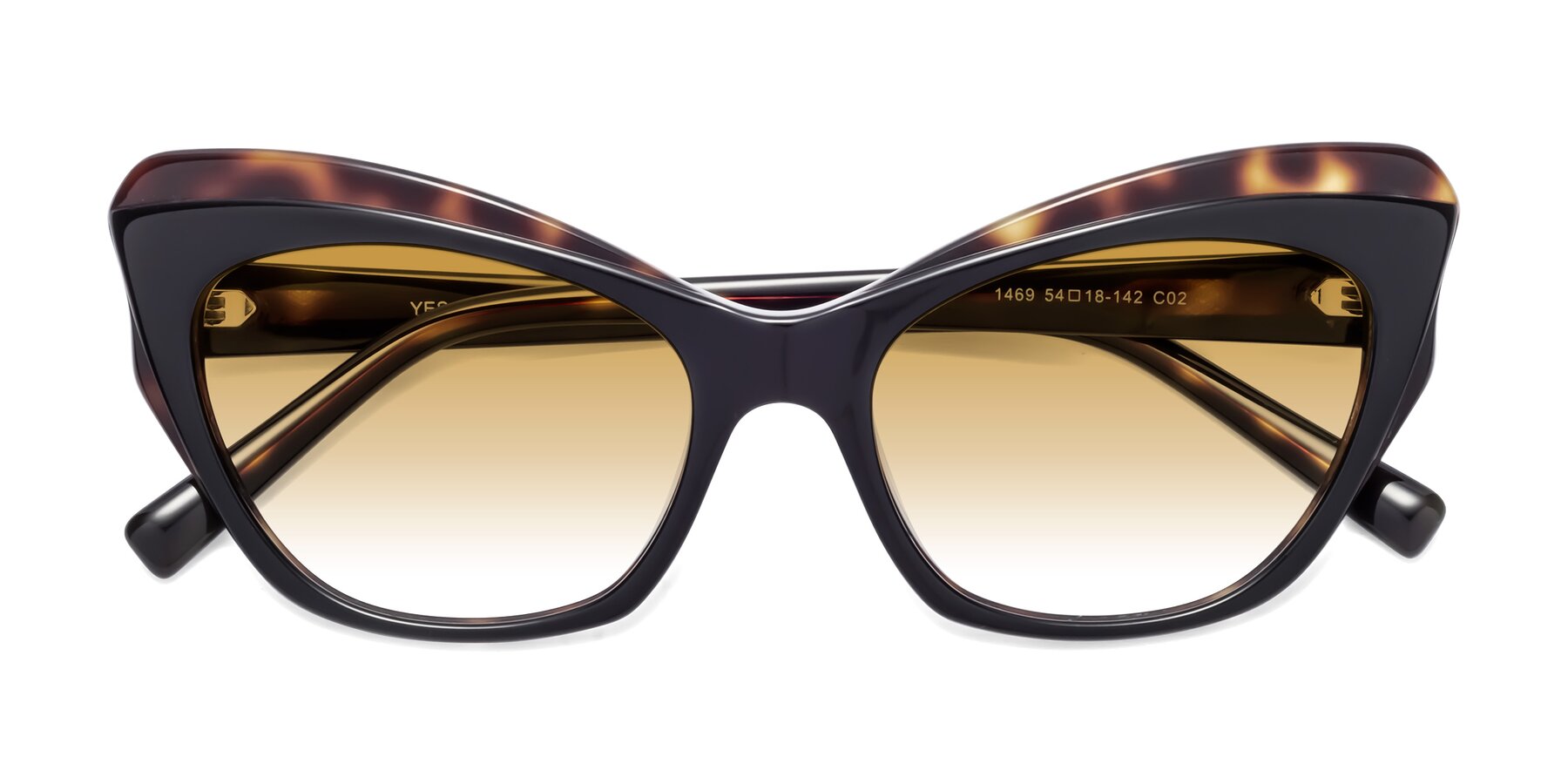Folded Front of 1469 in Black-Tortoise with Champagne Gradient Lenses