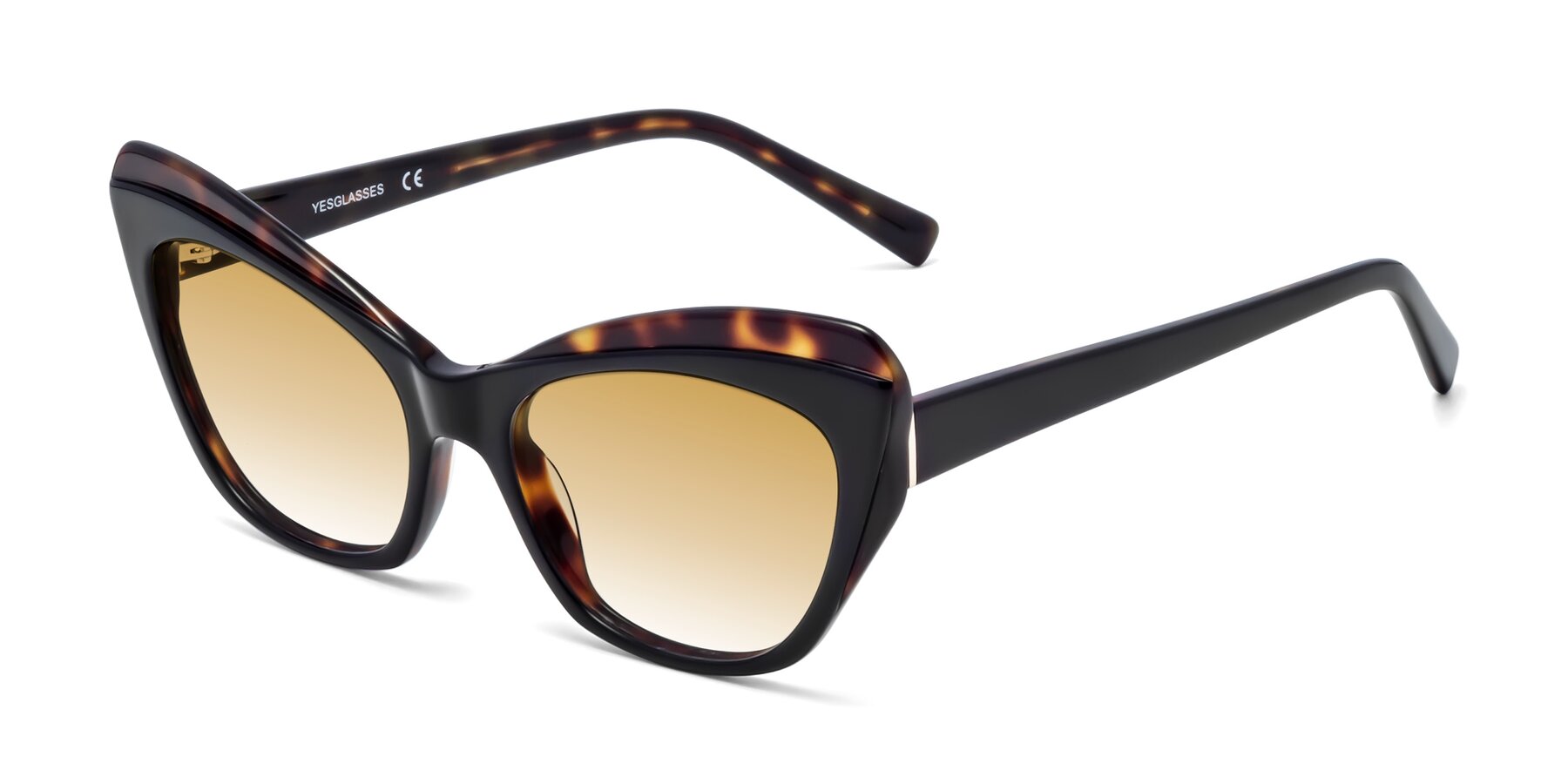 Angle of 1469 in Black-Tortoise with Champagne Gradient Lenses