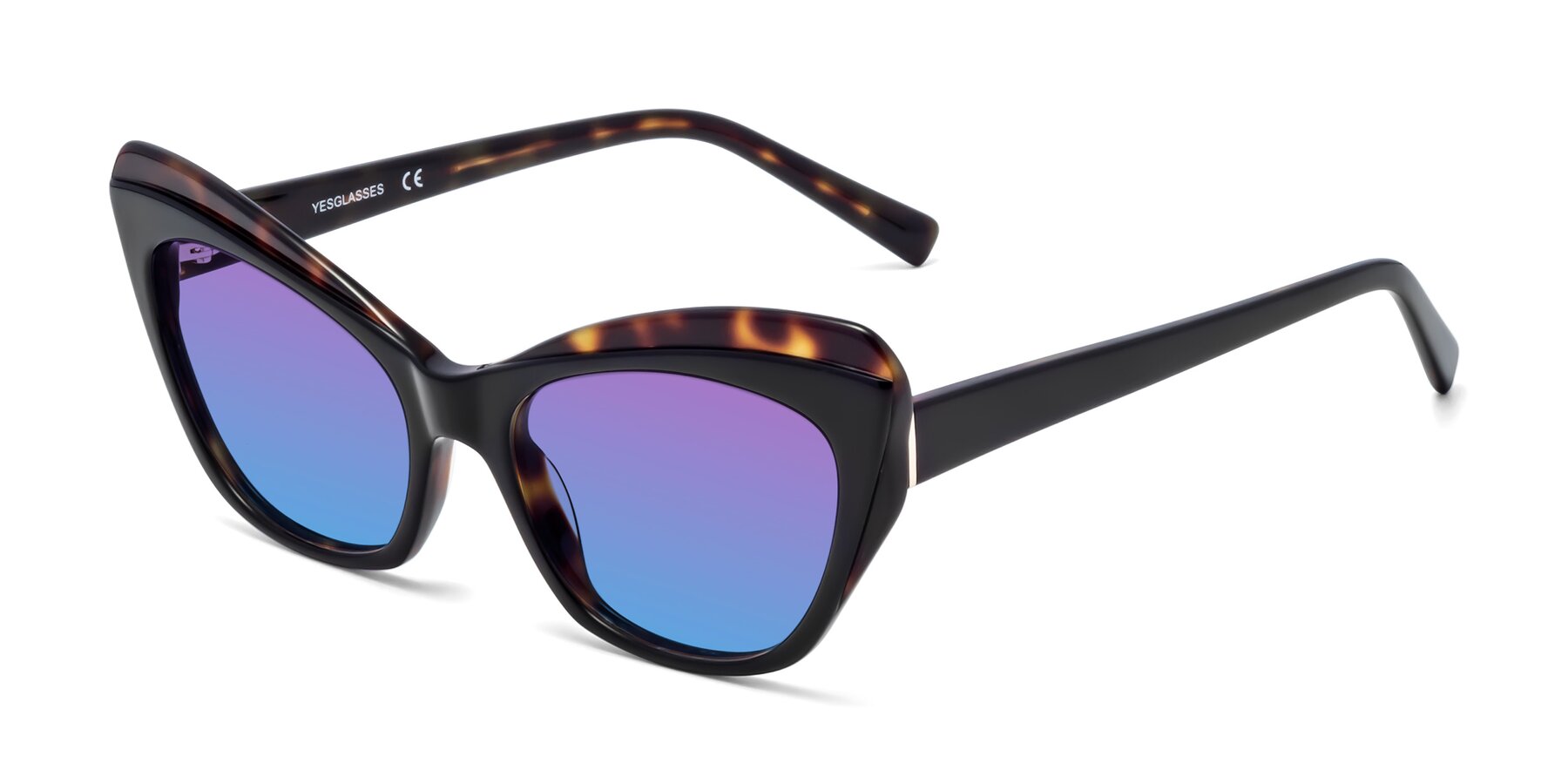Angle of 1469 in Black-Tortoise with Purple / Blue Gradient Lenses