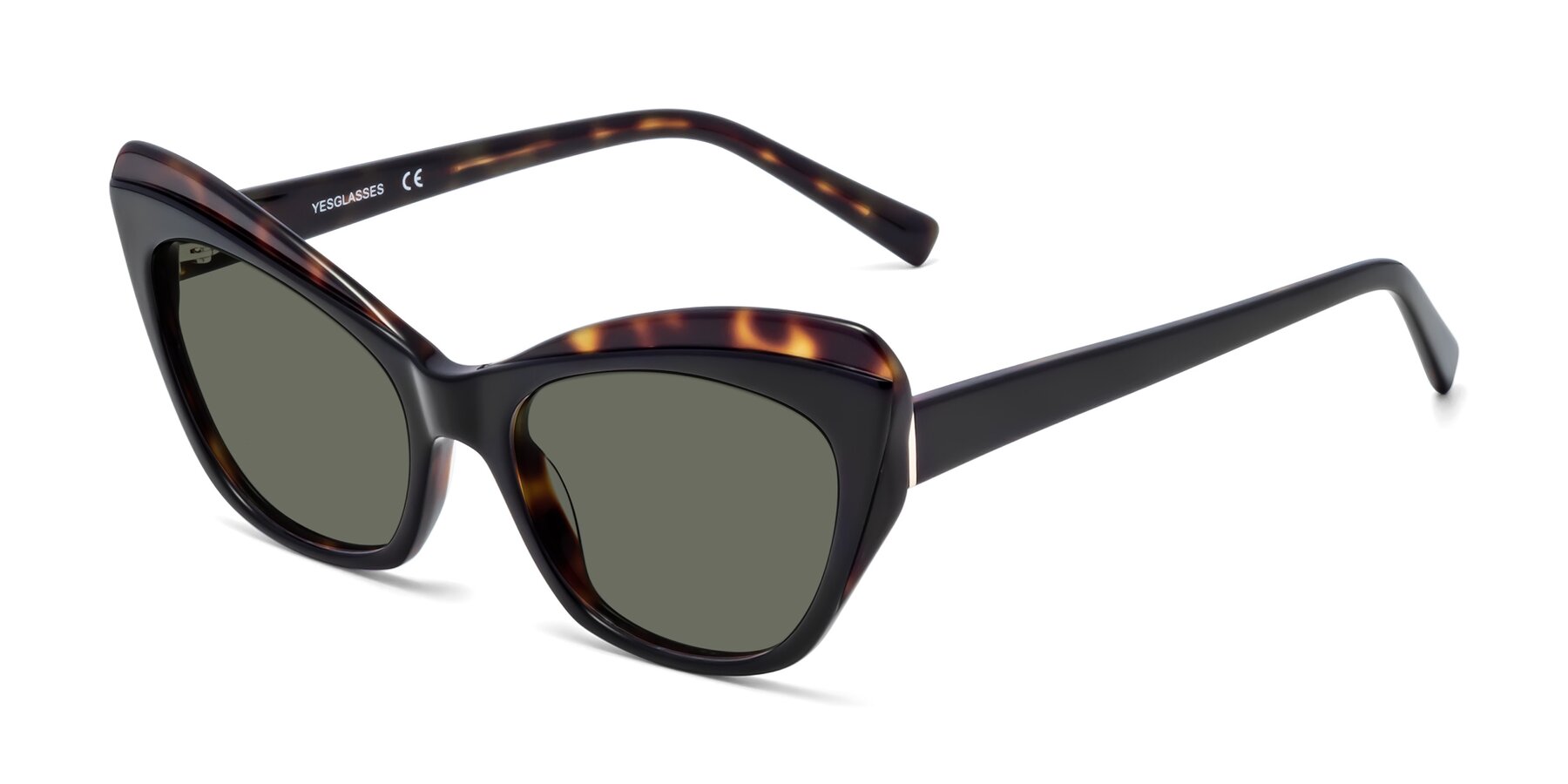 Angle of 1469 in Black-Tortoise with Gray Polarized Lenses