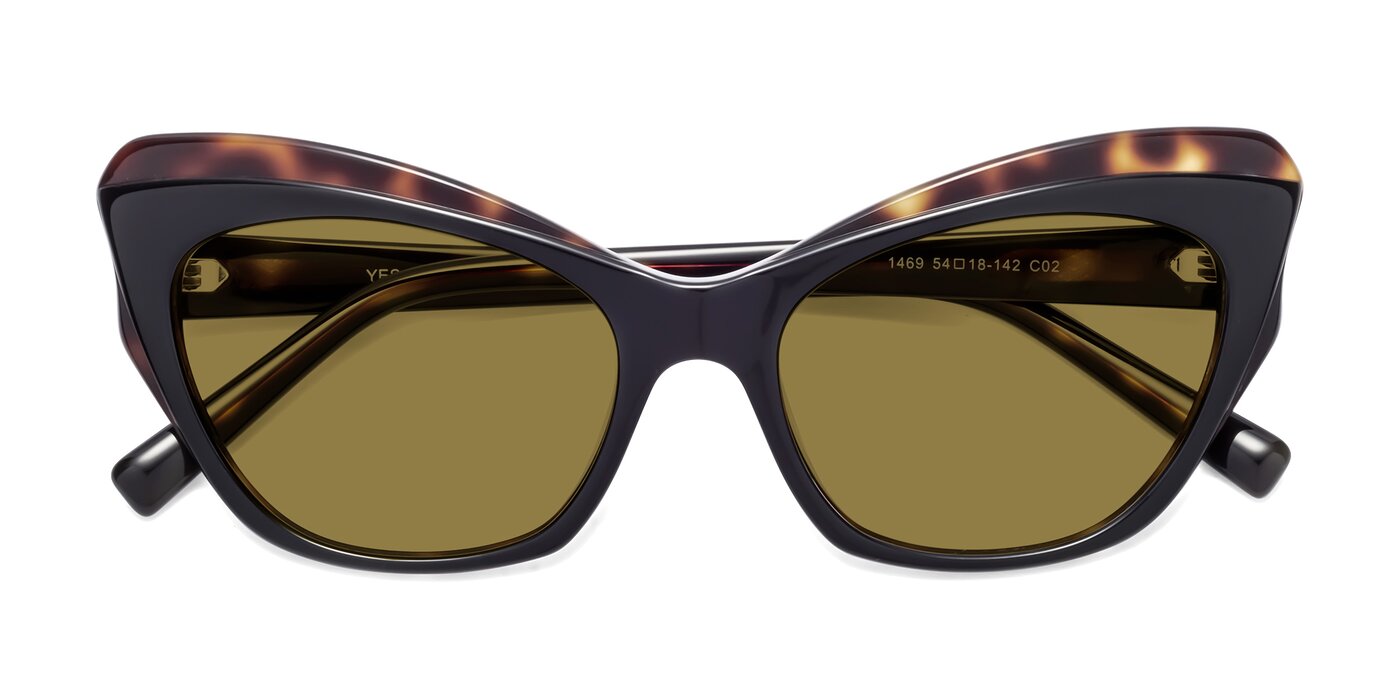 1469 - Black / Tortoise Polarized Sunglasses