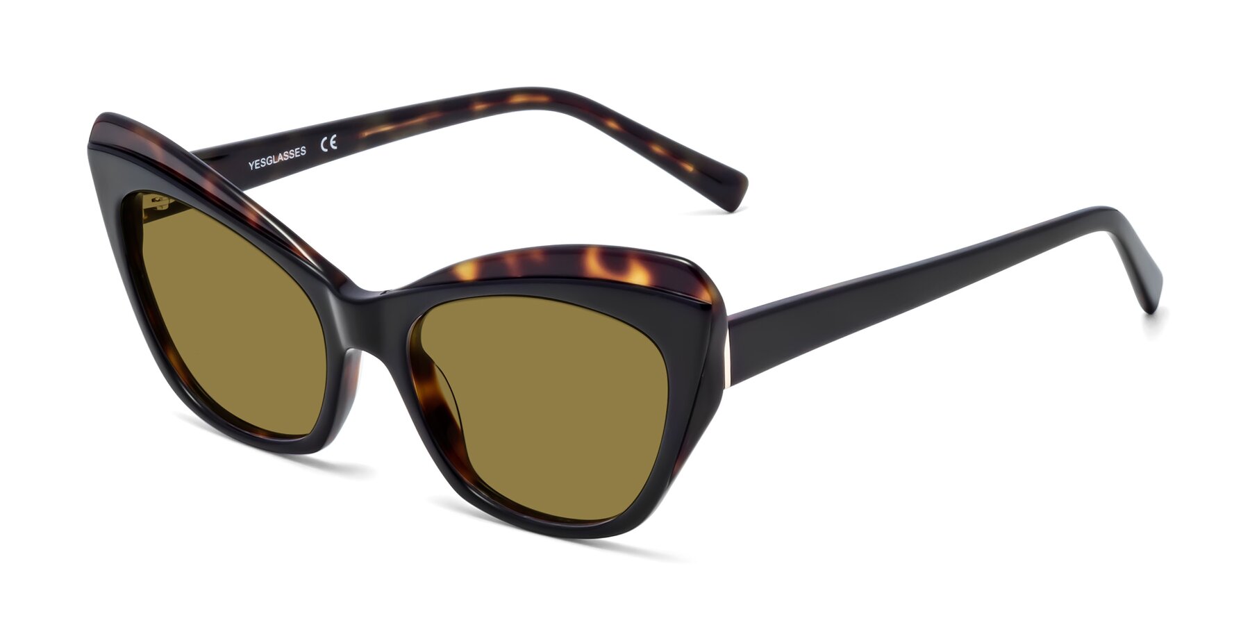 Angle of 1469 in Black-Tortoise with Brown Polarized Lenses