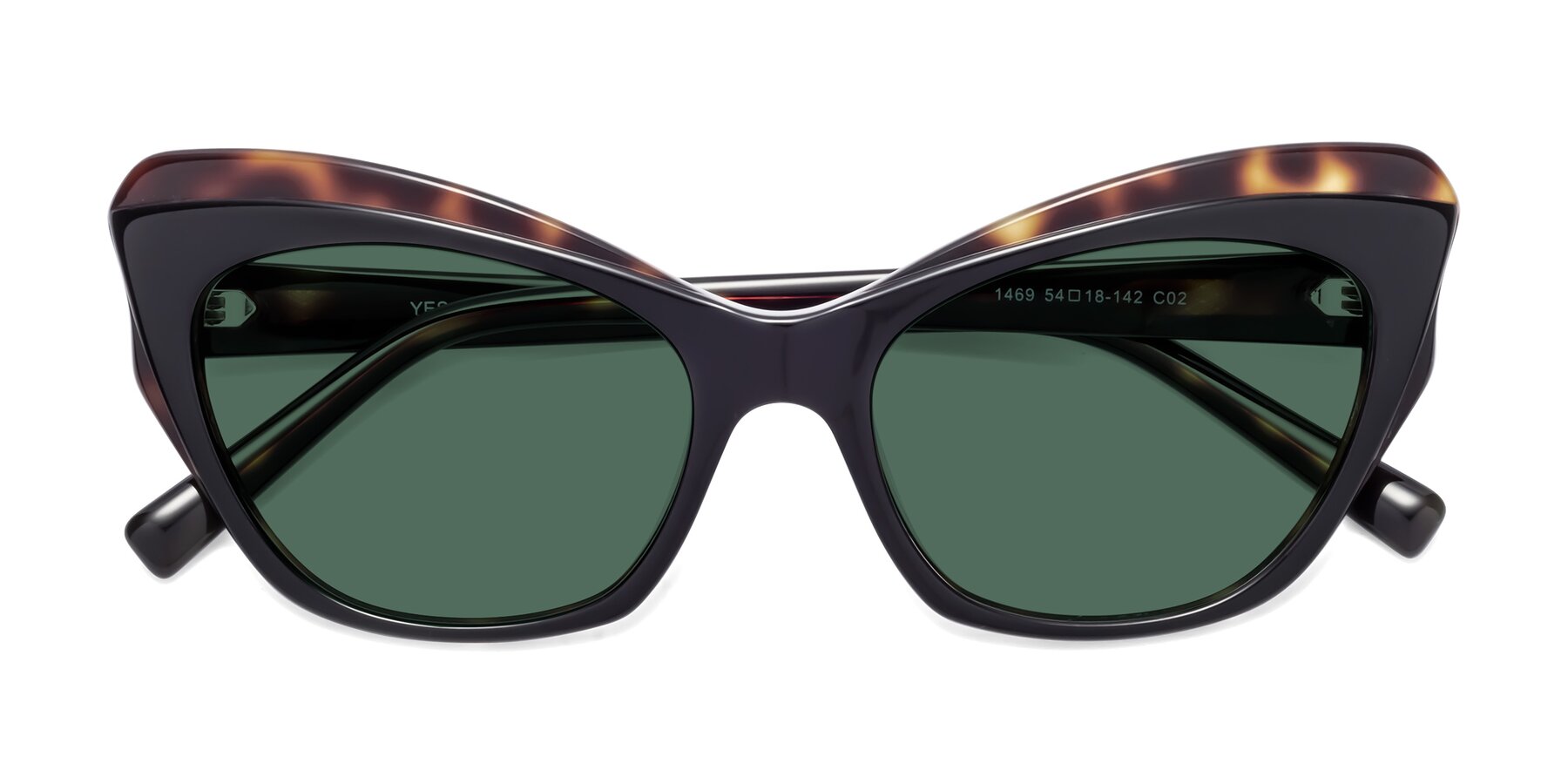 Folded Front of 1469 in Black-Tortoise with Green Polarized Lenses