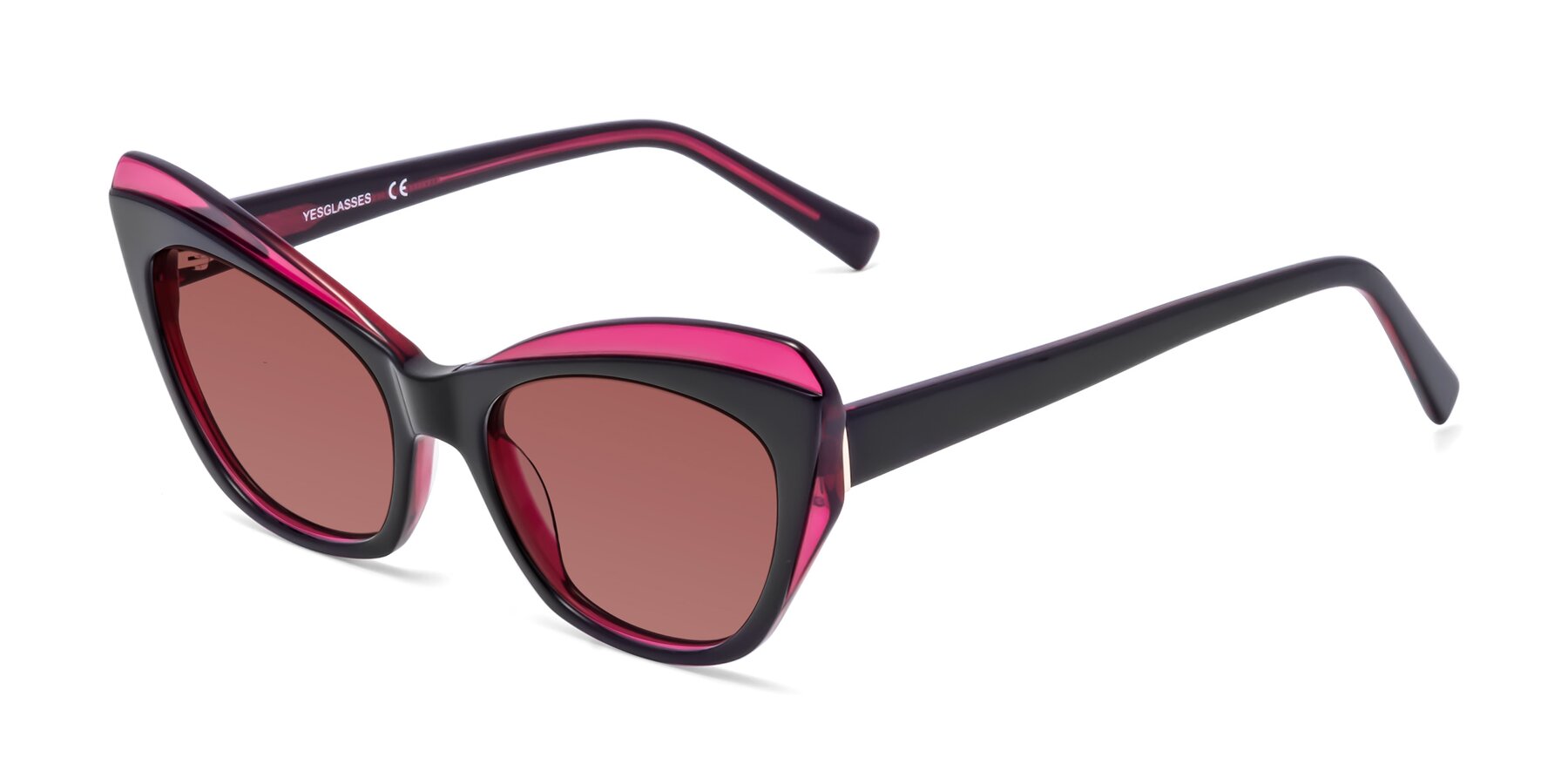 Angle of 1469 in Black-Plum with Garnet Tinted Lenses