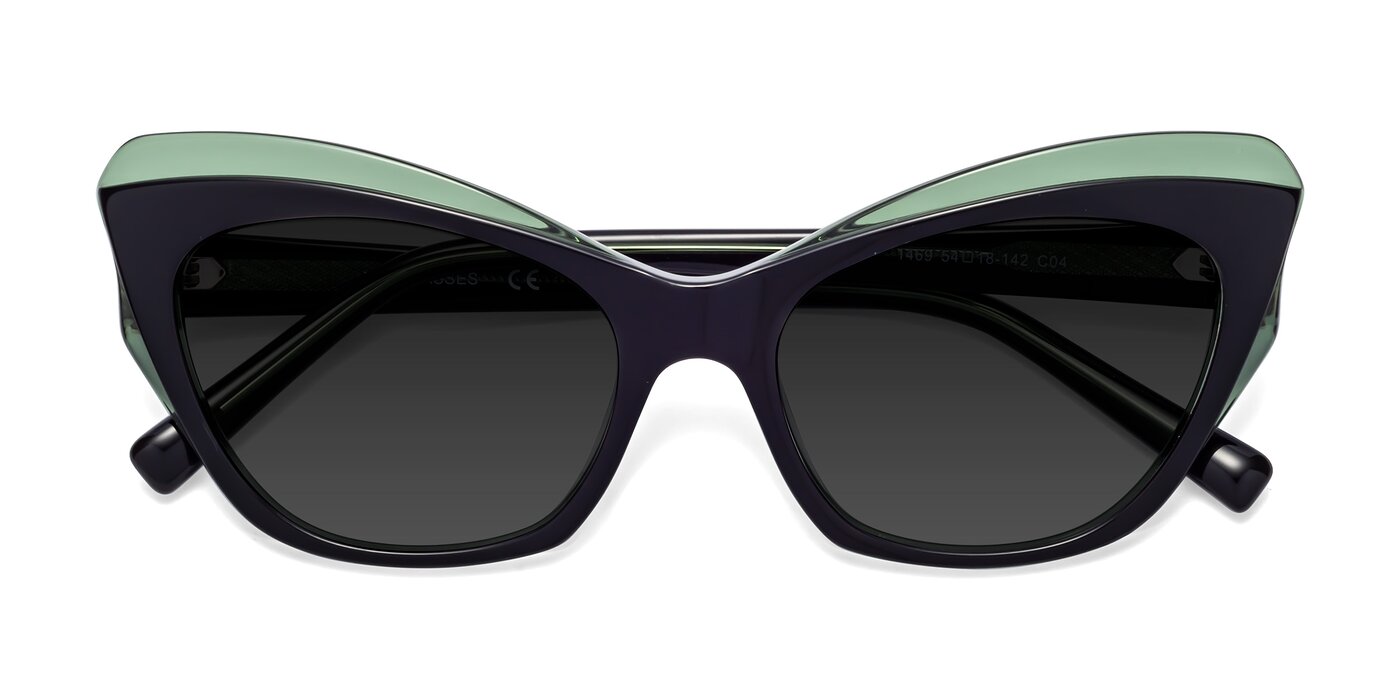1469 - Black / Green Polarized Sunglasses