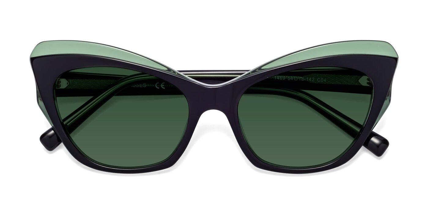 1469 - Black / Green Tinted Sunglasses