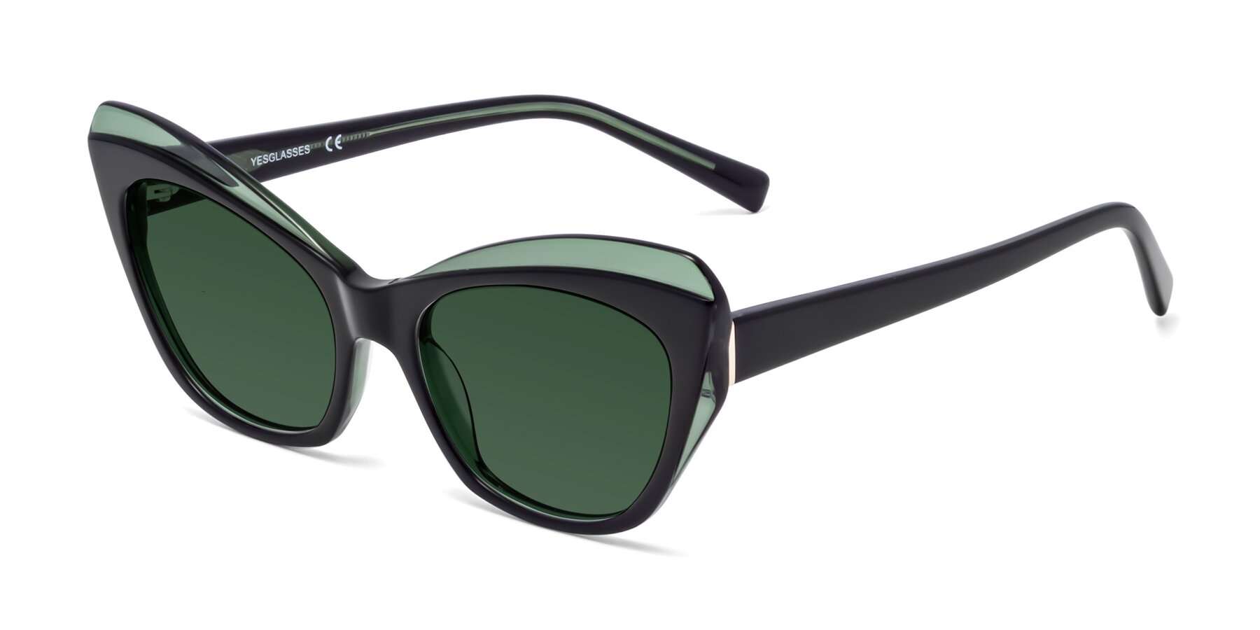 Angle of 1469 in Black-Green with Green Tinted Lenses