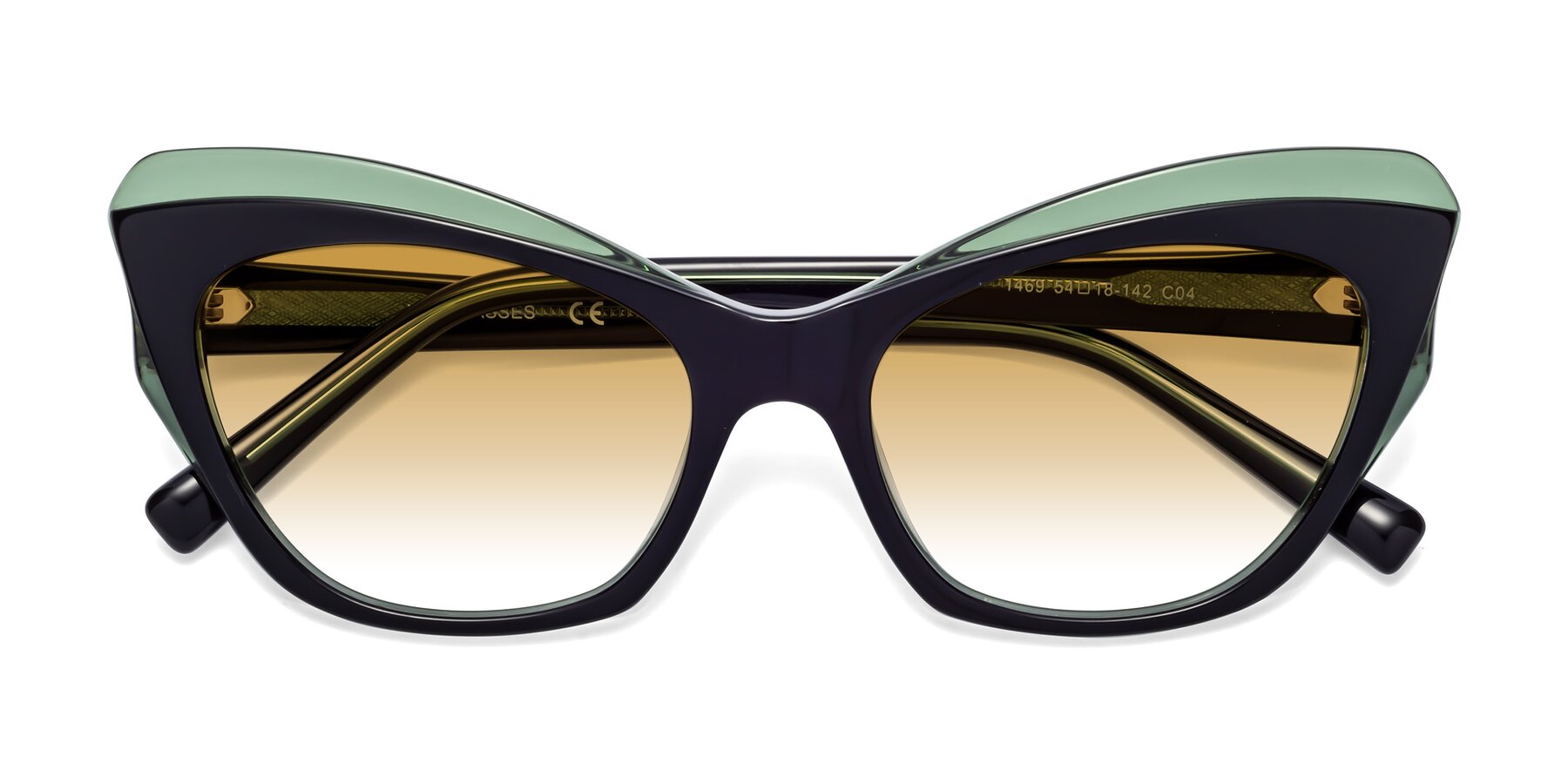 Folded Front of 1469 in Black-Green with Champagne Gradient Lenses