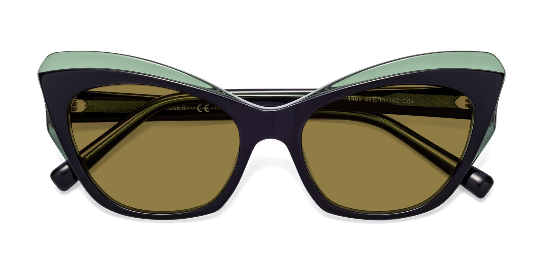 Folded Front of 1469 in Black-Green with Brown Polarized Lenses