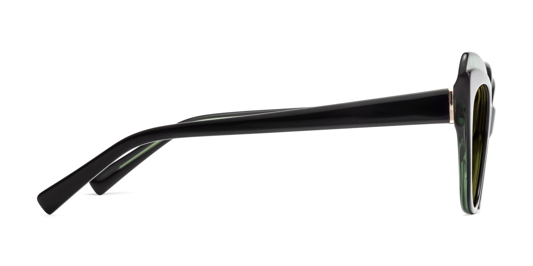 Side of 1469 in Black-Green with Brown Polarized Lenses