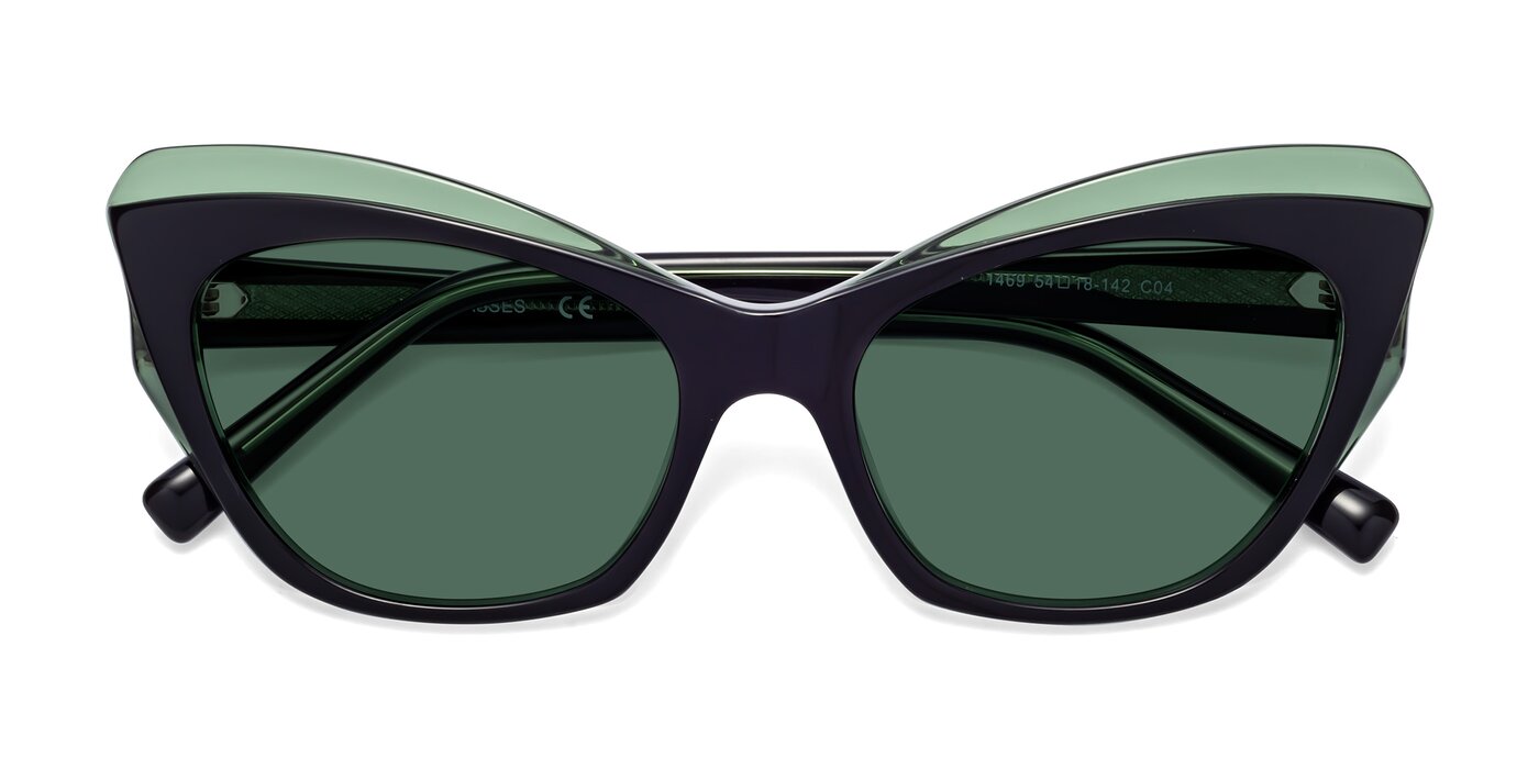 1469 - Black / Green Polarized Sunglasses