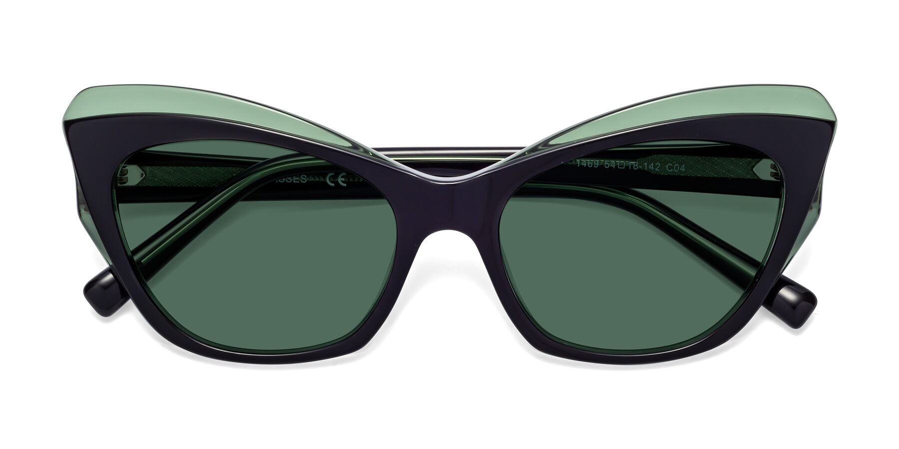 Folded Front of 1469 in Black-Green with Green Polarized Lenses