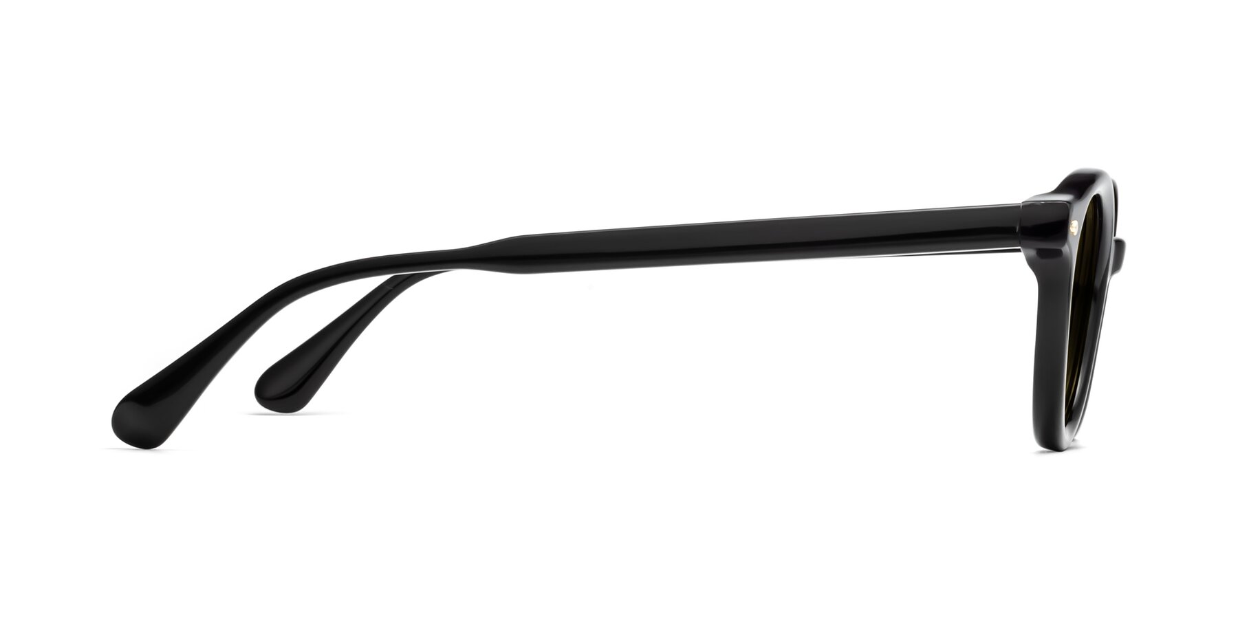 Side of 1472 in Black with Brown Polarized Lenses