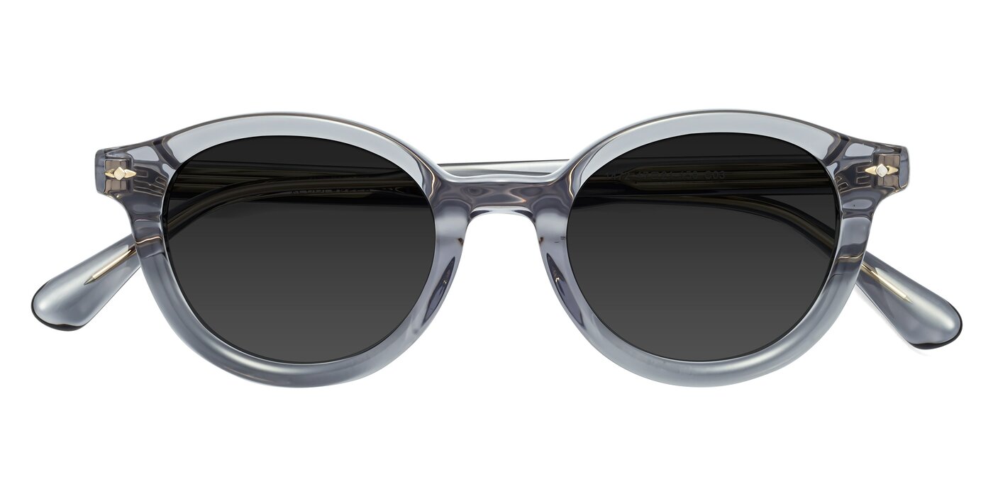 1472 - Transparent Gray Polarized Sunglasses