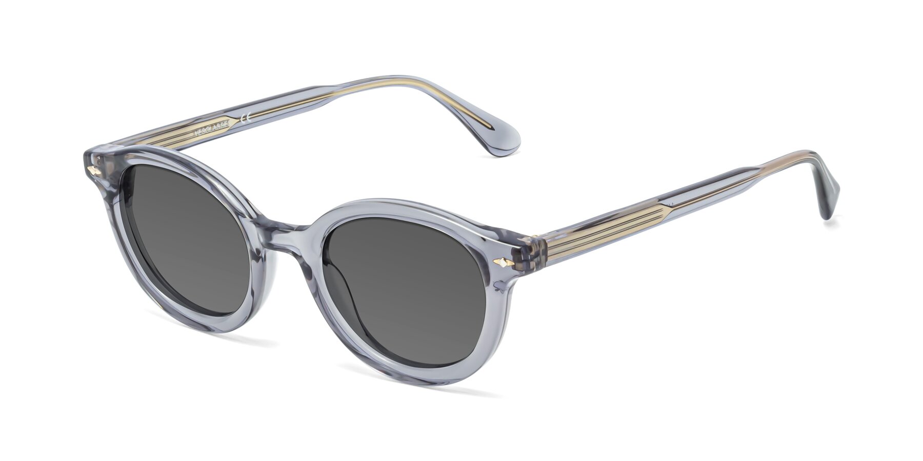 Angle of 1472 in Transparent Gray with Medium Gray Tinted Lenses