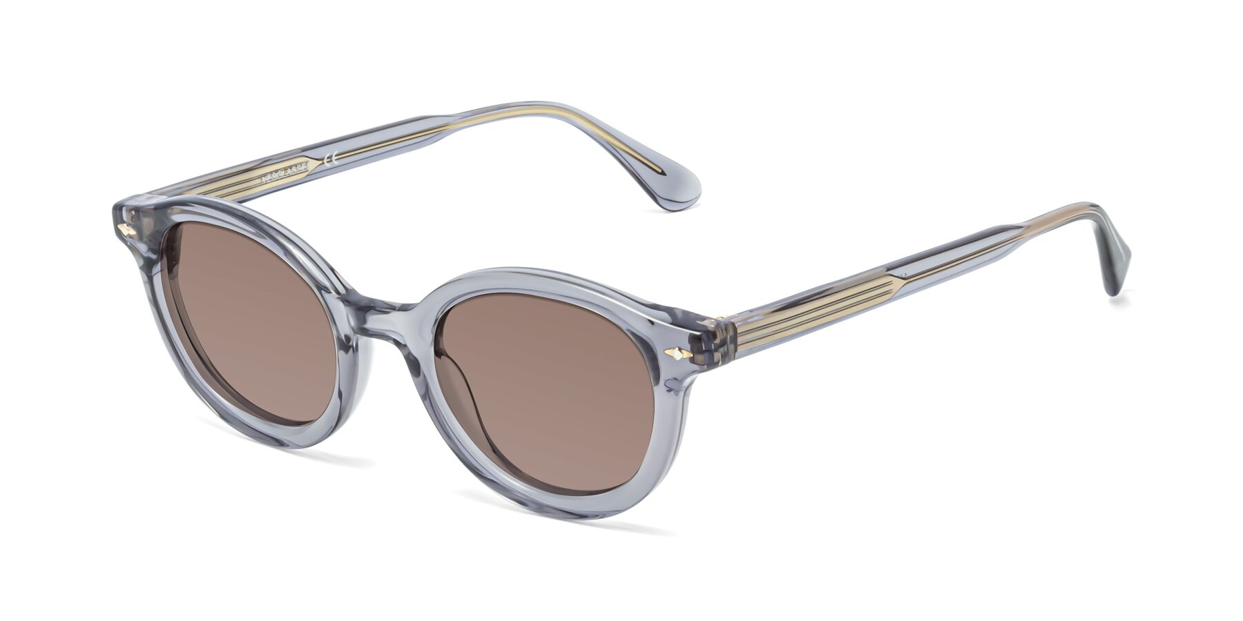 Angle of 1472 in Transparent Gray with Medium Brown Tinted Lenses