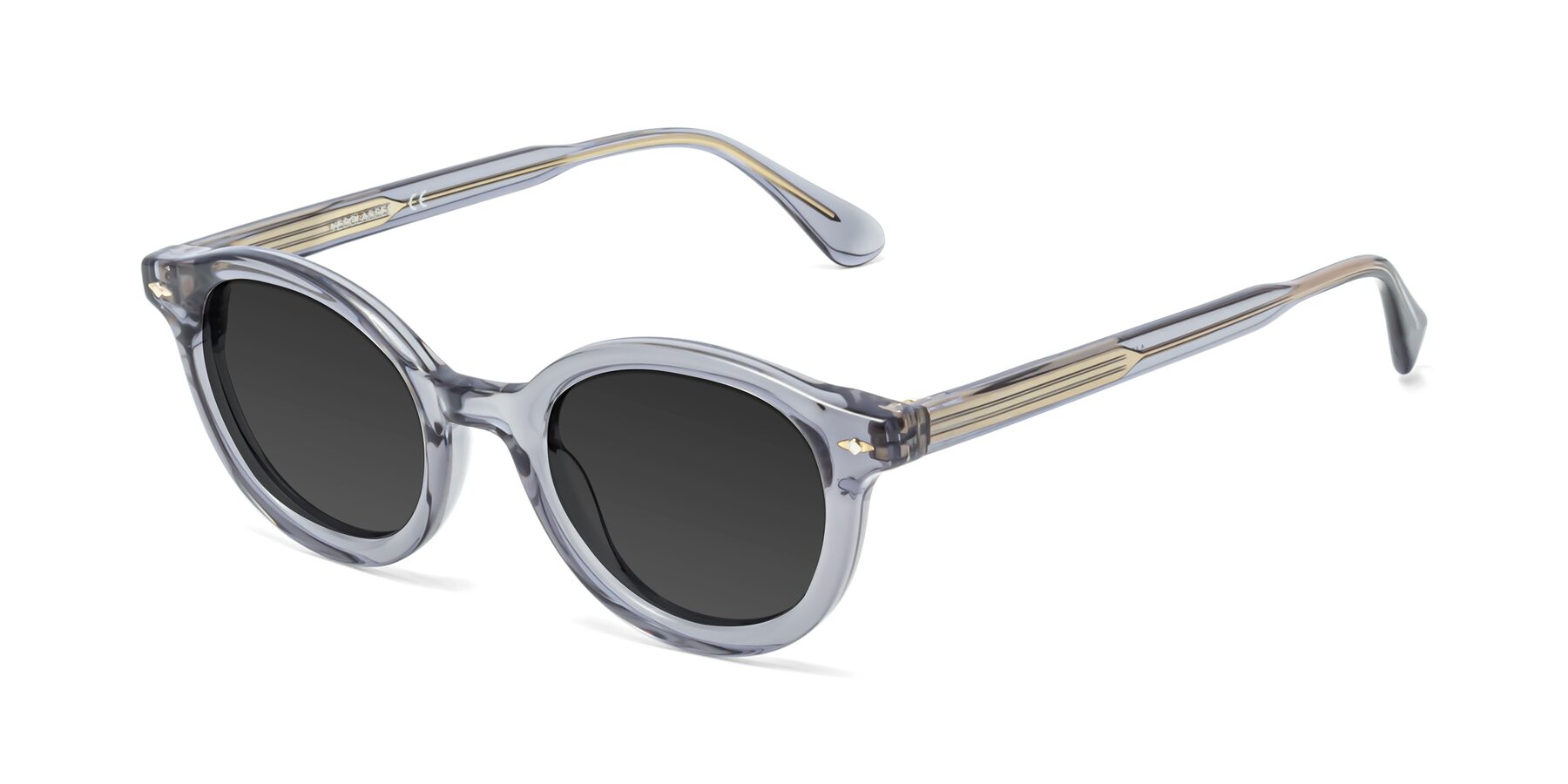 Angle of 1472 in Transparent Gray with Gray Tinted Lenses