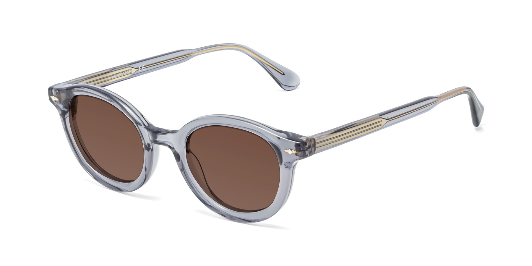 Angle of 1472 in Transparent Gray with Brown Tinted Lenses