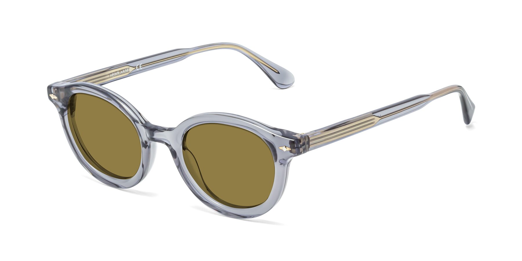 Angle of 1472 in Transparent Gray with Brown Polarized Lenses