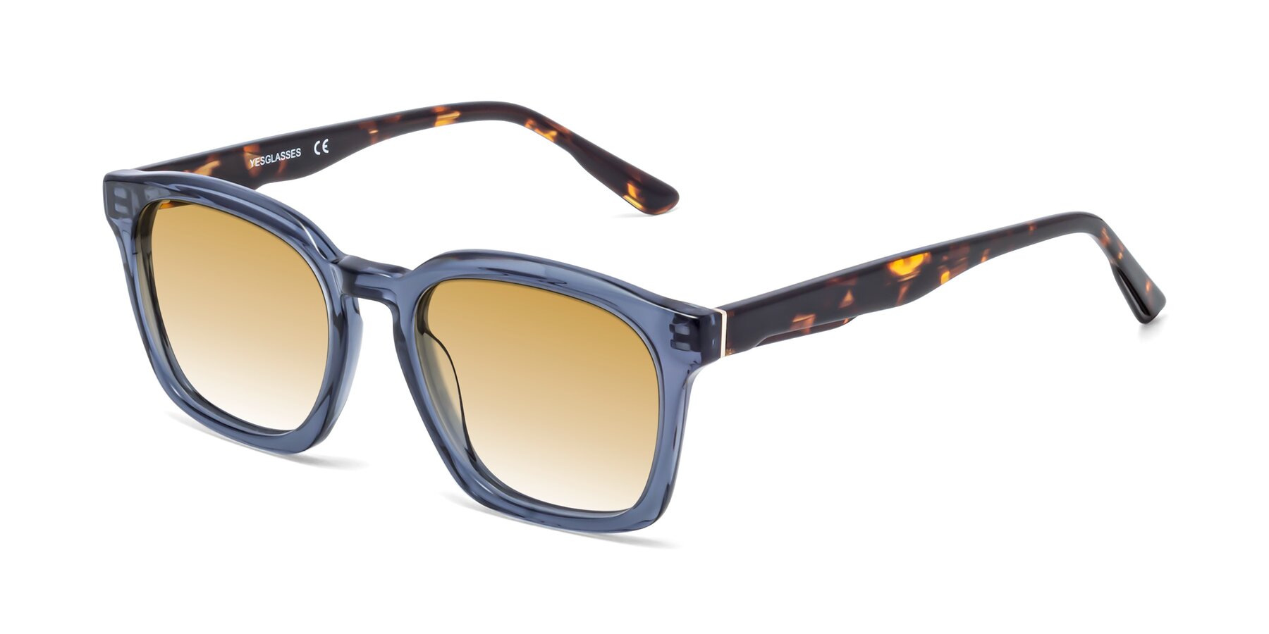 Angle of 1474 in Faded Blue with Champagne Gradient Lenses