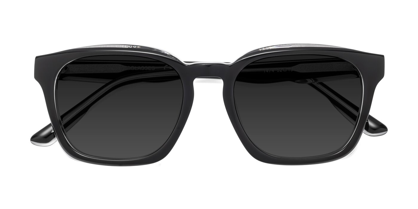 1474 - Black / Clear Polarized Sunglasses