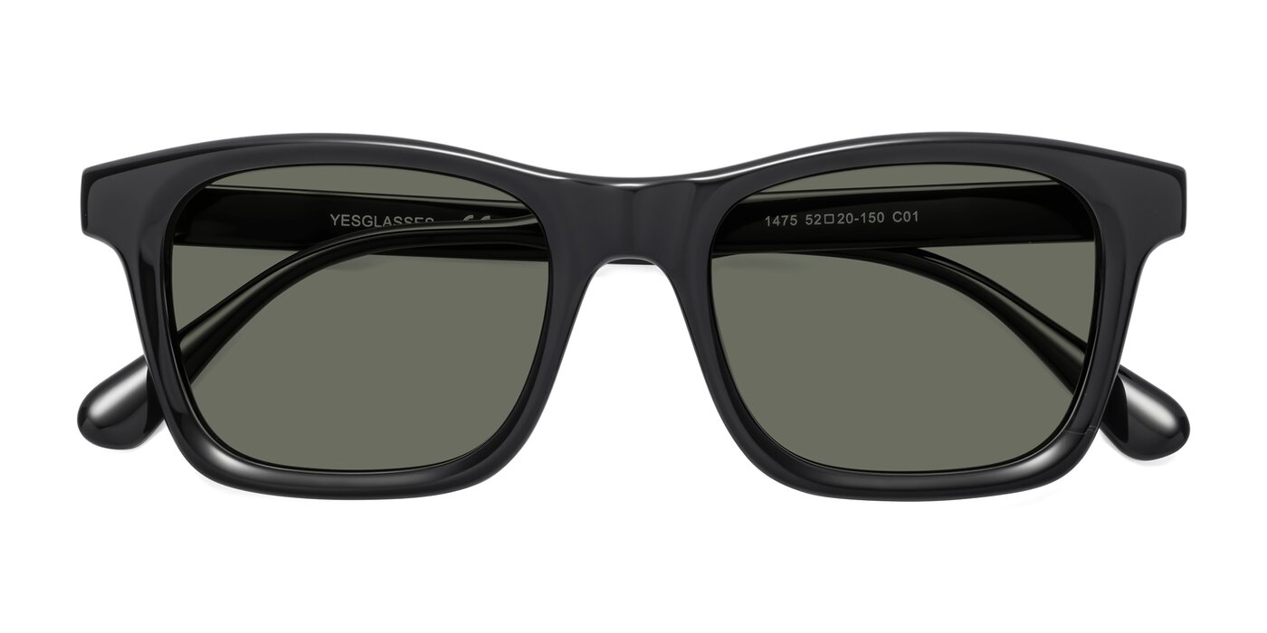 1475 - Black Polarized Sunglasses