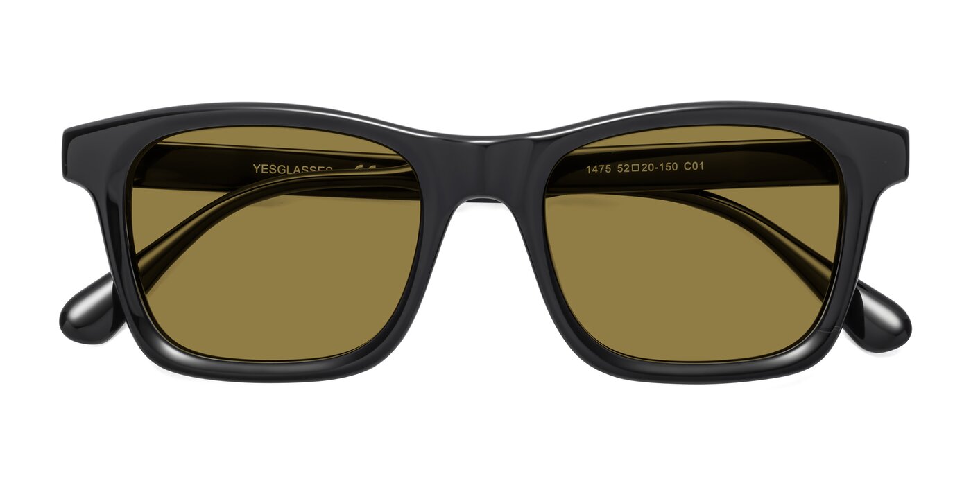 Echo Polarized Sunglasses - Black/Brown