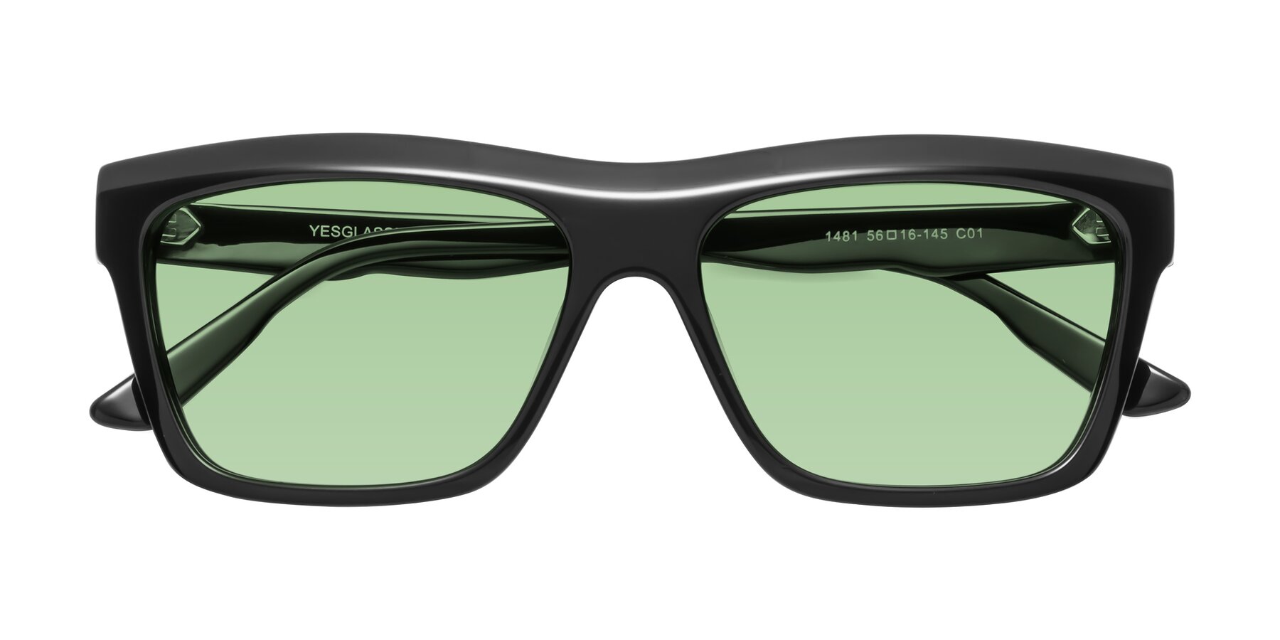 Folded Front of 1481 in Black with Medium Green Tinted Lenses