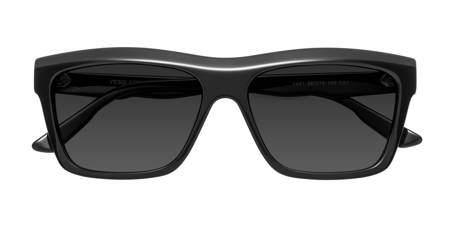 Folded Front of 1481 in Black with Gray Tinted Lenses