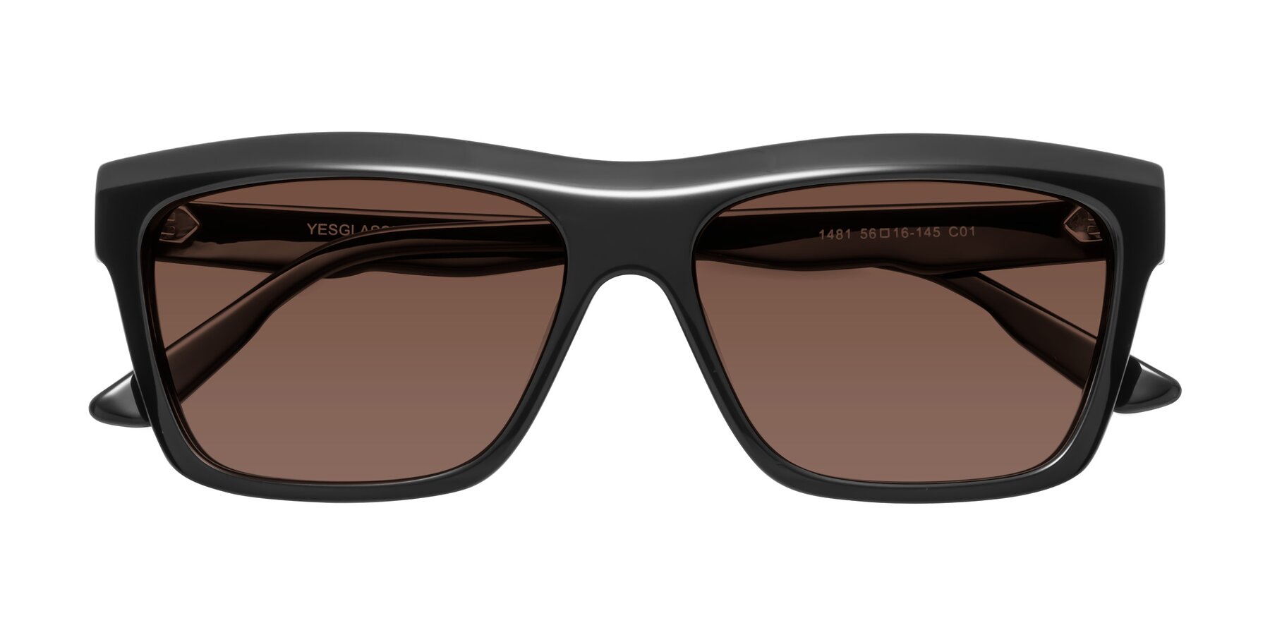 Folded Front of 1481 in Black with Brown Tinted Lenses