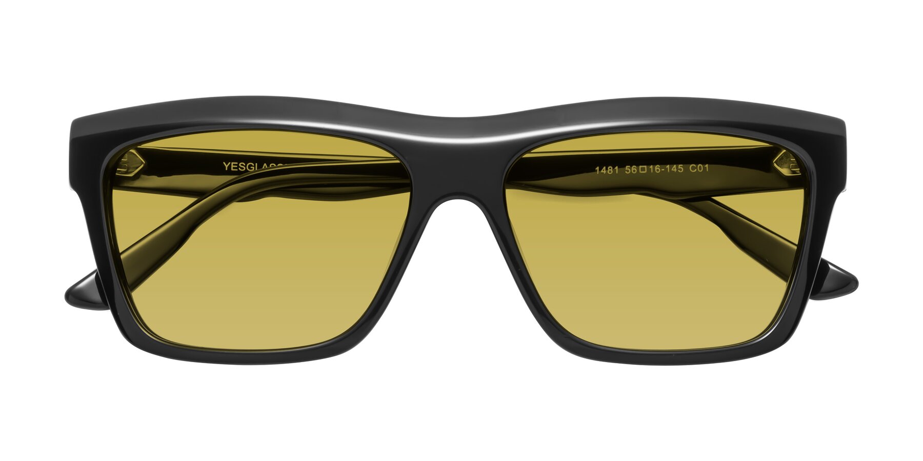 Folded Front of 1481 in Black with Champagne Tinted Lenses