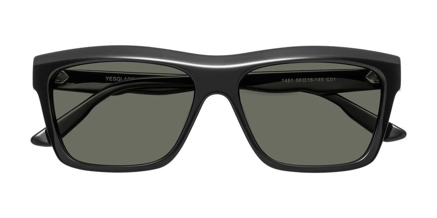 1481 - Black Polarized Sunglasses